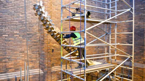Stuart Walker photography Whale skeleton