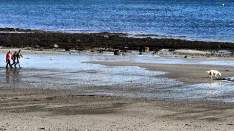 MANX SCENES People walking on Douglas Beach while a large white dog walks ahead.