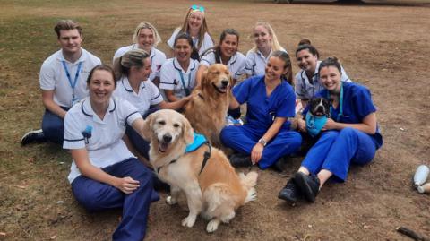 Essex Therapy Dogs at Broomfield Hospital
