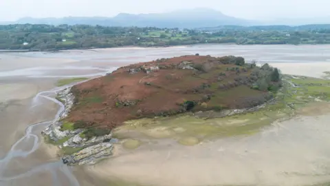 A small island made up or rocky and grassed areas is surrounded by sand and inlets of water at low tide, with the mainland seen behind.