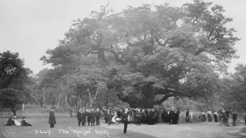 Supplied by RSPB Crowds of people surrounding the Major Oak circa 1907