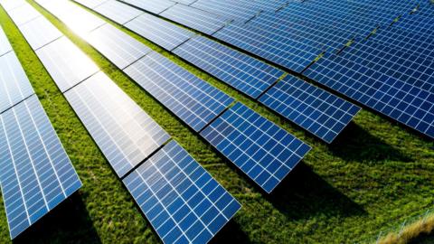 Dozens of rectangular solar panels sitting on grass