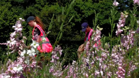 People picking flowers on a confetti farm