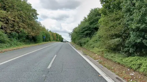 A Google Maps screenshot, showing the slip road onto the motorway. There are two lanes with a white van in the distance ahead. Shrubbery lines either side of the road.