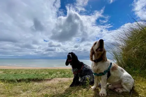 Anne's World/BBC Weather Watchers Dogs at Balmedie beach