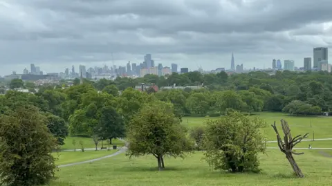 BBC/Jo Makel A green parkland featuring large trees. The London skyline is visible in the distance featuring numerous towers and high-rise buildings.