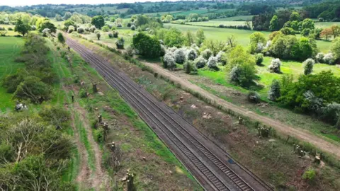 A drone image of tree stumps along a railway line.