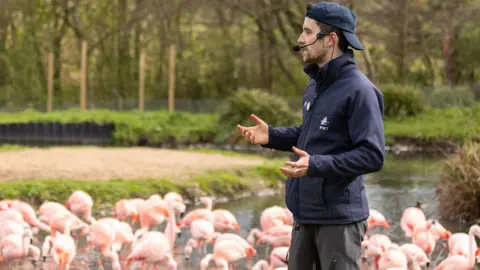 WWT / Becs Greenaway A man, wearing a blue WWT uniform and a hands-free microphone, stands in front of a body of water which is dotted with a couple dozen bright pink birds. He appears to be giving a presentation. There are grassy areas, shrubs and trees behind them.