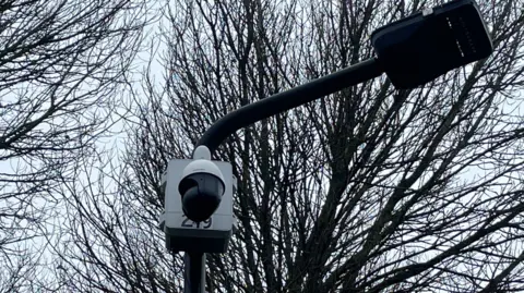 Simon Thake A modern round black camera sits on the top of a lamp post surrounded by tree branches 