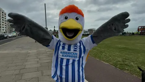BBC/Will Flockton Brighton & Hove Albion's mascot, Gully