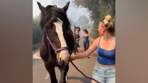 Abbie Harvey Two girls in blue tops lead two brown horses away down a street with a large smoke plume behind them. 