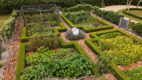 Shaun Whitmore/BBC Part of the garden which shows hedges sectioning off vegetable patches and wild flowers.