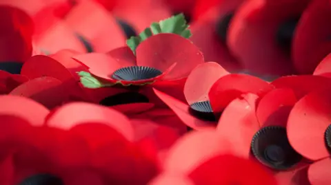 Getty A number of poppies bunched together