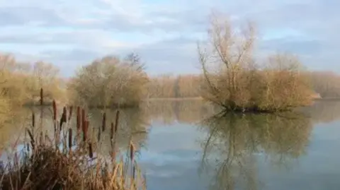 Andrew Smith/Geograph A view of Spade Oak Lake which is home to 186 species of bird. Trees protrude from the middle of the lake.