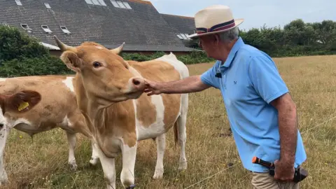 Major Beaumont pets a Guernsey cow on the snout in a field. He is wearing a blue polo top and a straw hat, holding a voltage checking mechanism.