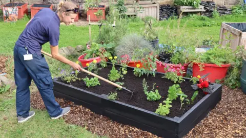 British Recycled Plastic A woman uses a rake to tend to some plants in a raised bed made from recycled plastic planks. It looks like she is in an allotment. She wears a navy t shirt and trousers. 