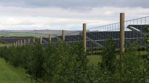 LDRS A computer-generated image of what the solar farm might look like. Rows of solar panels are on a grassy hill behind a wire fence lined with shrubbery, with rolling hills in the distance.