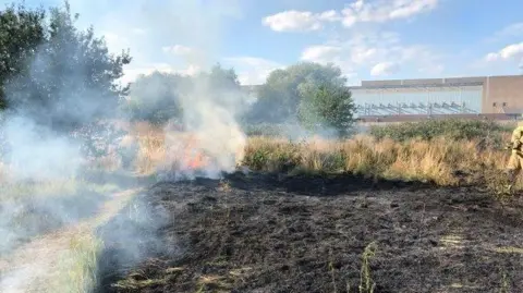 LFB Grass fire being stopped at a fire break - image provided by LFB