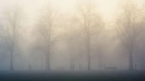 Getty Images Fog partially blocks the view of some trees and benches.