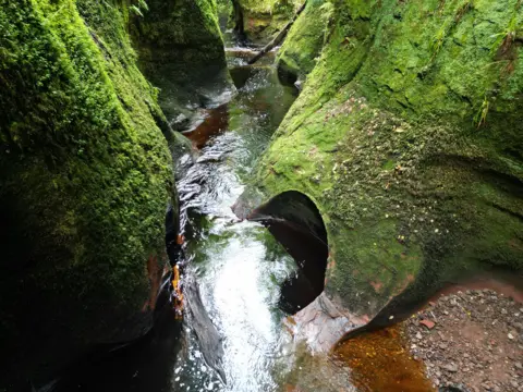 Getty Images/FotoGablitz A narrow gorge with a river runningt through it. the gorge walls are green coloured by vegetation