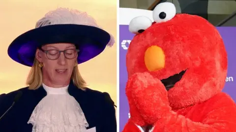 BBC/PA A woman in a feathered hat and a man in an Elmo costume livened up some counts