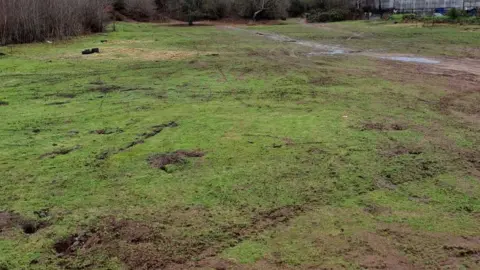 An area of grass land has tyre marks across it with small divots dug up. In the distance, several trees can be seen.