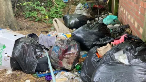 A pile of illegally dumped waste in Splott, Cardiff. there are overflowing black bin bags in a street with bushes in the background.