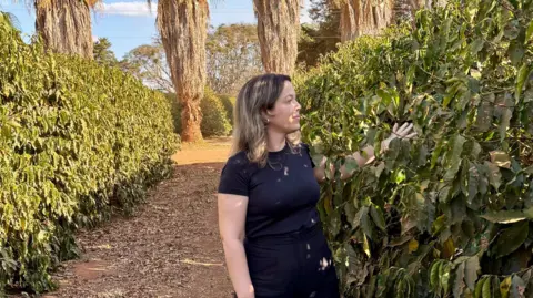 Trump's tariffs are pushing food and drink exporters closer to China Courtesy of Fernanda Pizol Coffee bean exporter Fernanda Pizol pictured walking through hedges in a coffee plantation in Brazil.