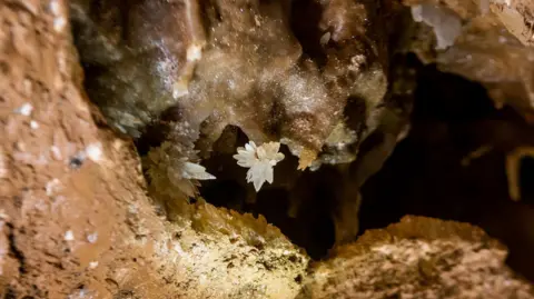 Stump Cross Caves A crystal on the roof of the new cave