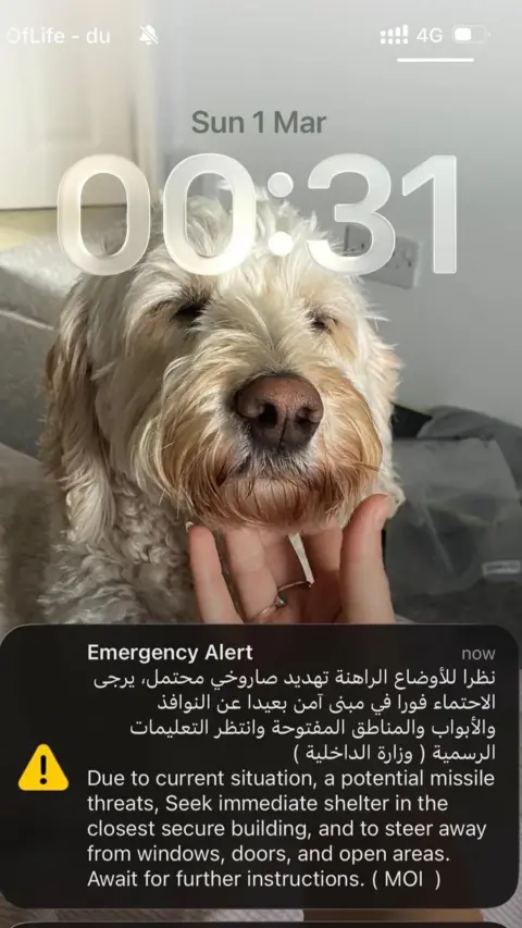 Mickey Drew A screenshot of a phone home screen, with an emergency alert notification on it, warning of a potential missile threat. It says to seek immediate shelter in the closest secure building.