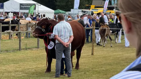 A man stands next to a large brown cow with both legs apart and his hands behind his back. He is wearing grey trousers and has a light multi-coloured checked shirt. He is in an enclosed area and there are dozens of people walking around the outside.