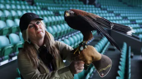 Donna Davis holds Rufus with a protective glove. She is wearing a black baseball cap and the pair are in the stands at Wimbledon.