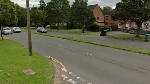 Google A google street view image of a causeway in a residential area with grassland verge in the middle.
