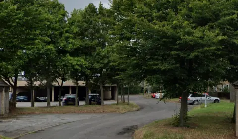 Google Walthams Place in Pitsea. A tree-lined cul-de-sac with cars parked under a canopy  and in parking areas.