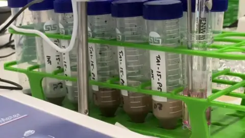 Rows of test tubes containing mud samples are lined up on a table in a laboratory.