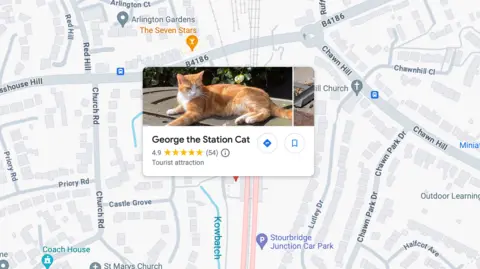 Google A Google Maps screenshot showing an icon of a red and white cat with the caption 