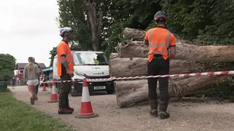 Two men in hi-viz stand next to a fallen tree trunk which has been cordoned off