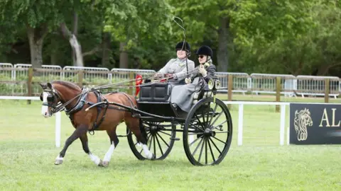Rebecca Stevens driving horse Squeak won the Driving for the Disabled Championship at Royal Windsor Horse Show.
