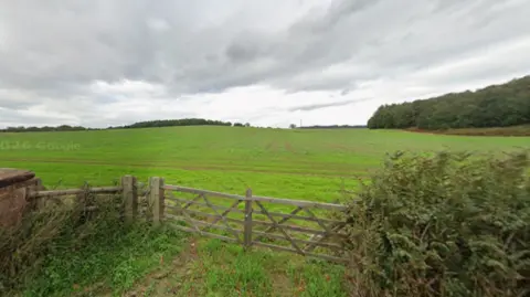 Google A large green field with a hedge and a wooden gate in the foreground and trees in the distance