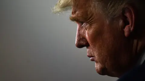 Image shows side profile of Donald Trump 