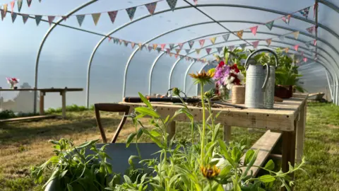 A display of plants and flowers has been placed on a wooden table inside a polytunnel. There is also a grey metal watering can on the table and a wheelbarrow filled with plants next to it. A spade's handle can be seen next to the wheelbarrow as it is propped up against it. Multi-coloured bunting is hanging from the ceiling of the polytunnel.