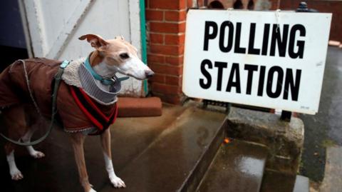 A dog standing next to a polling station sign
