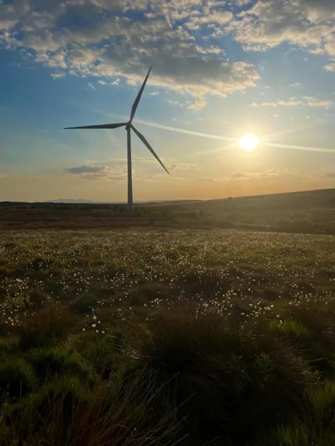 Loretta Wilson A windfarm as the sun starts to set