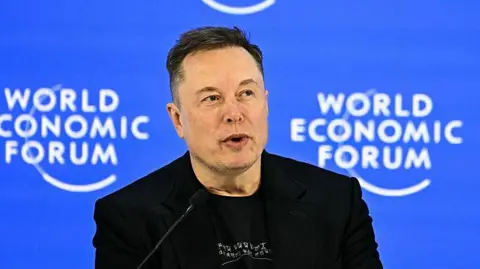 Elon Musk, pictured at the World Economic Forum in Davos in January