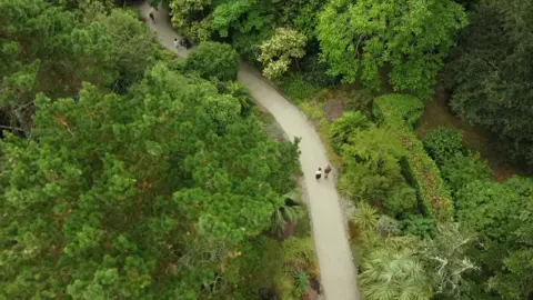 An arial view of Glendurgan Gardens