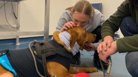 Sophie Theakston Bertie lying on the floor at the vets. He is wearing a padded collar, jacket and has a red dressing on his front right paw. Two people are kneeling down next to him. One of them is a woman with her hair tied back and she is kissing Bertie above his left ear.