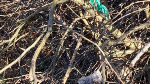 Local Democracy Reporting Service Plastic bags containing dog poo sit among branches.