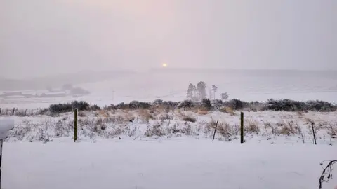 BBC Weather Watchers / Doric Um campo coberto de neve ao amanhecer em Aberdeenshire