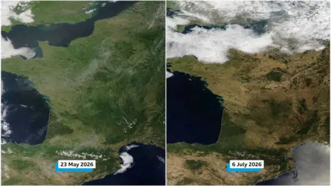 NASA Satellite comparison showing the impact two intense heatwaves on the countryside, turning it from lush green to parched brown.