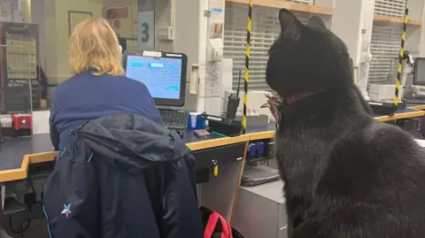Other A photo of Bolt - a black cat - overlooking a member of staff working in the station's ticket office.